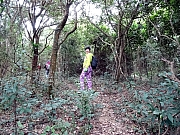 PC200004.JPG (628307 bytes)