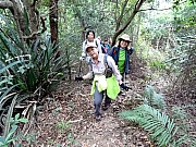 PC200005.JPG (563251 bytes)