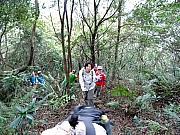PC200006.JPG (545288 bytes)