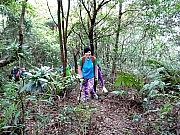 PC200011.JPG (581736 bytes)