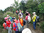 PC200026.JPG (519544 bytes)