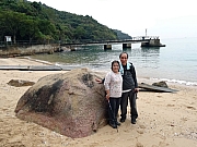 P1030102.JPG (408163 bytes)