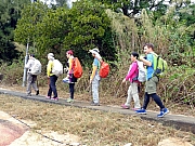 P1030106.JPG (566646 bytes)