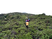 P1100005.JPG (450626 bytes)