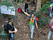 P1100043.JPG (490844 bytes)