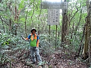 P1100098.JPG (678981 bytes)