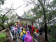 P1170060.JPG (550606 bytes)