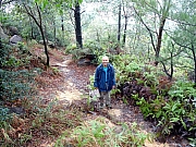 P1170062.JPG (686958 bytes)
