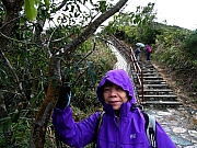 P1240043.JPG (501981 bytes)