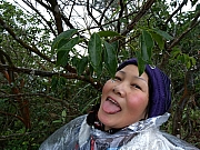 P1240045.JPG (380615 bytes)