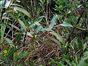P1240046.JPG (514776 bytes)