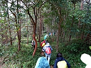 P1240054.JPG (481313 bytes)