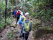 P1310009.JPG (513863 bytes)