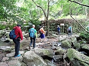 P1310011.JPG (471565 bytes)