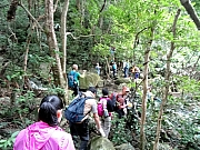 P1310036.JPG (439934 bytes)