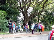 P1310054.JPG (534179 bytes)