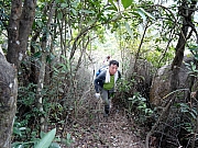 P2100009.JPG (584207 bytes)