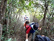 P2100011.JPG (513860 bytes)