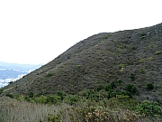 P2100047.JPG (249978 bytes)