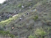 P2100048.JPG (546174 bytes)