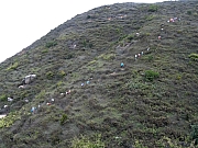 P2100051.JPG (391024 bytes)