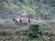 P2100061.JPG (520274 bytes)