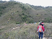 P2100068.JPG (433138 bytes)