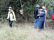 P2100072.JPG (419070 bytes)
