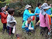 P2100090.JPG (453945 bytes)
