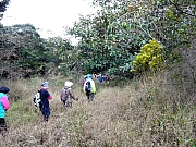 P2100102.JPG (528587 bytes)