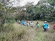 P2100104.JPG (618373 bytes)