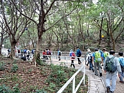 P2140009.JPG (637780 bytes)