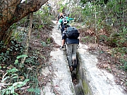 P2140011.JPG (449389 bytes)