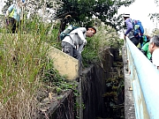 P2140013.JPG (544617 bytes)