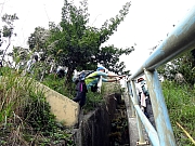 P2140014.JPG (503571 bytes)