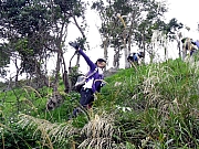 P2140018.JPG (617186 bytes)