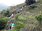 P2140020.JPG (519715 bytes)