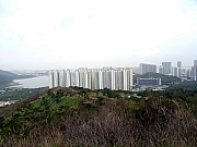 P2140024.JPG (303652 bytes)