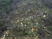 P2140027.JPG (456105 bytes)