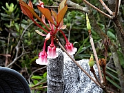 P2140034.JPG (271443 bytes)