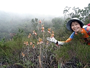 P2140035.JPG (443134 bytes)