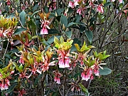 P2140036.JPG (461638 bytes)