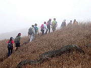 P2140043.JPG (304584 bytes)