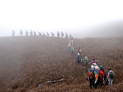 P2140044.JPG (240207 bytes)