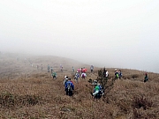 P2140052.JPG (284516 bytes)