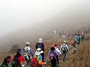 P2140053.JPG (237305 bytes)