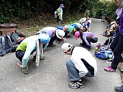 P2140058.JPG (491746 bytes)