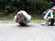 P2140060.JPG (346578 bytes)