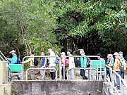 P2210031.JPG (483716 bytes)