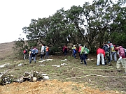 P2210052.JPG (495836 bytes)